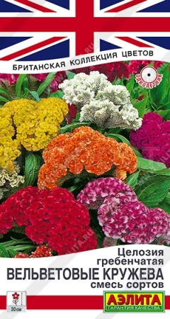 Целозия гребенчатая Вельветовые кружева, смесь сортов 0,2г 