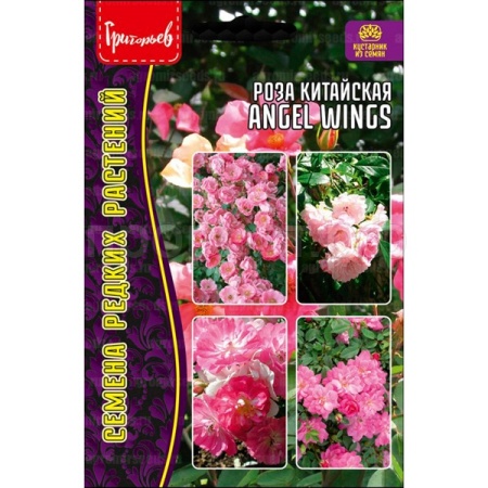 Редкие растения Роза китайская Angel Wings 7шт 