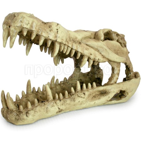 Грот LUCKY REPTILE Череп Skull Krokodil 25x11.2x15.2см (Германия) DS-C