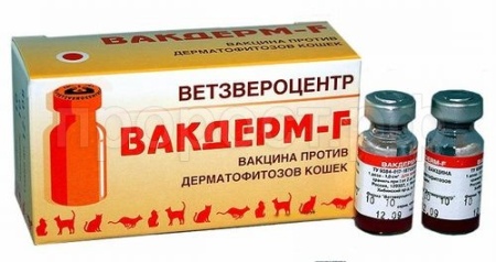 Вакцина  для кошек Вакдерм-F1мл