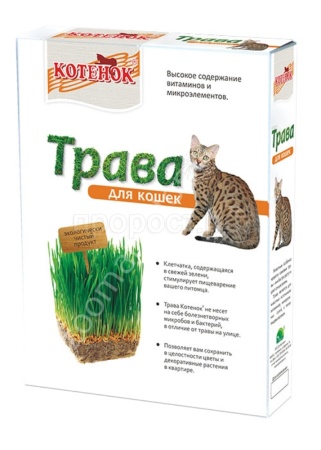 Травка для кошек Котенок 80г/КОРОБКА