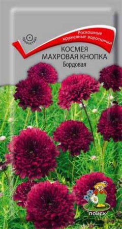 Космея Махровая кнопка Бордовая 0,1г