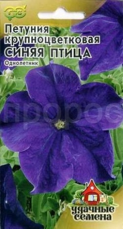 Петуния Синяя птица 7шт