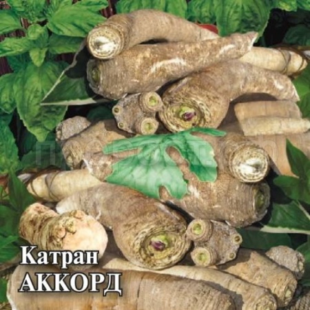 Катран Аккорд 25 г