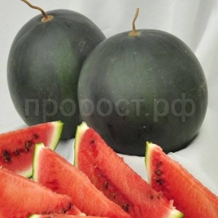 Арбуз Шуга Бейби 25 гр