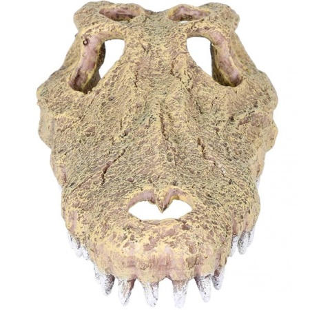 Грот AQUA DELLA Череп Аллигатора бежевый 28.5x14.5x8см (Бельгия) 234/443484